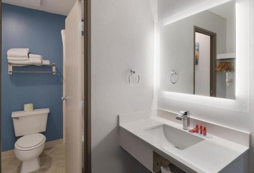 اتاق استاندارد, Quality Inn South Bend Near Notre Dame