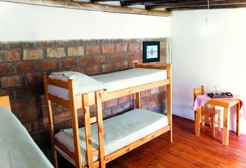 Standard Neljän Hengen Huone Jaettu Kylpyhuone, Sigrum Hostel