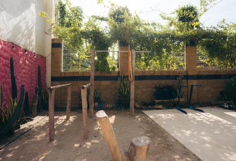 スタンダードルーム, Nuiya Hoteles Centro