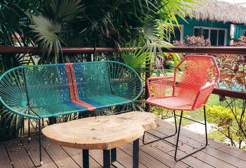 スタンダードルーム, Nuiya Hoteles Centro