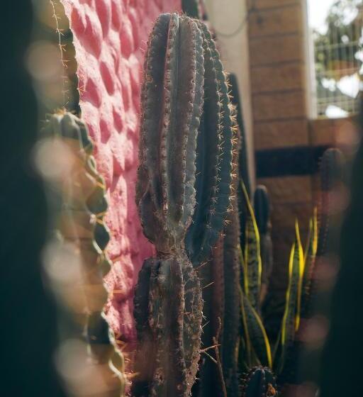 キングサイドベッドのスタンダードワンルーム, Nuiya Hoteles Centro