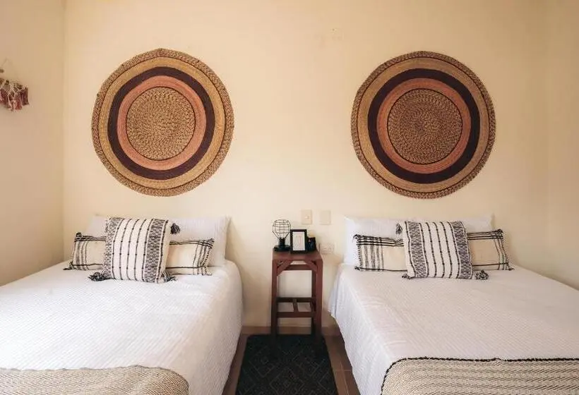 اتاق استاندارد با 2 تخت دوبل, Nuiya Hoteles Centro