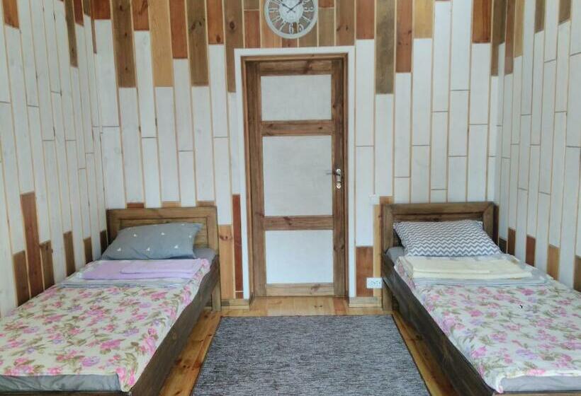 Кровать в Общей Комнате, отель Swallow House