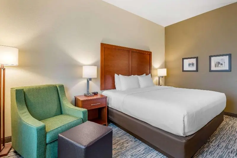 キングサイズベッドのスタンダードルーム, Comfort Inn & Suites West Des Moines