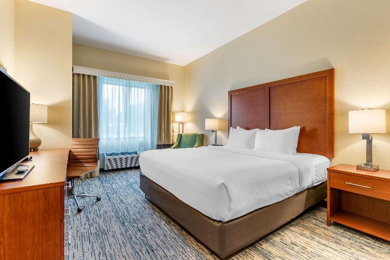 Стандартный Номер Кровать Кинг, Comfort Inn & Suites West Des Moines