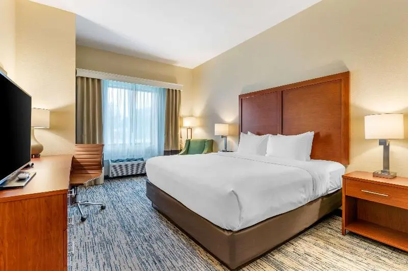 キングサイズベッドのスタンダードルーム, Comfort Inn & Suites West Des Moines