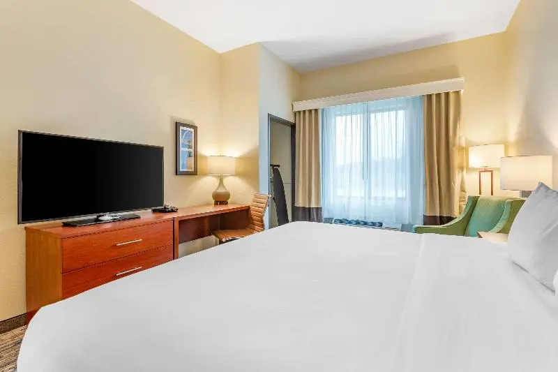キングサイズベッドのスタンダードルーム, Comfort Inn & Suites West Des Moines