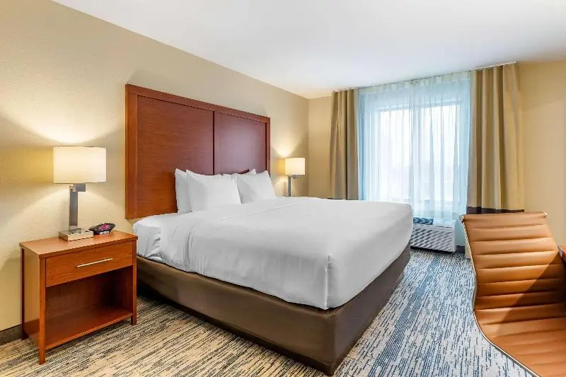 キングサイズベッドのスイートルーム, Comfort Inn & Suites West Des Moines