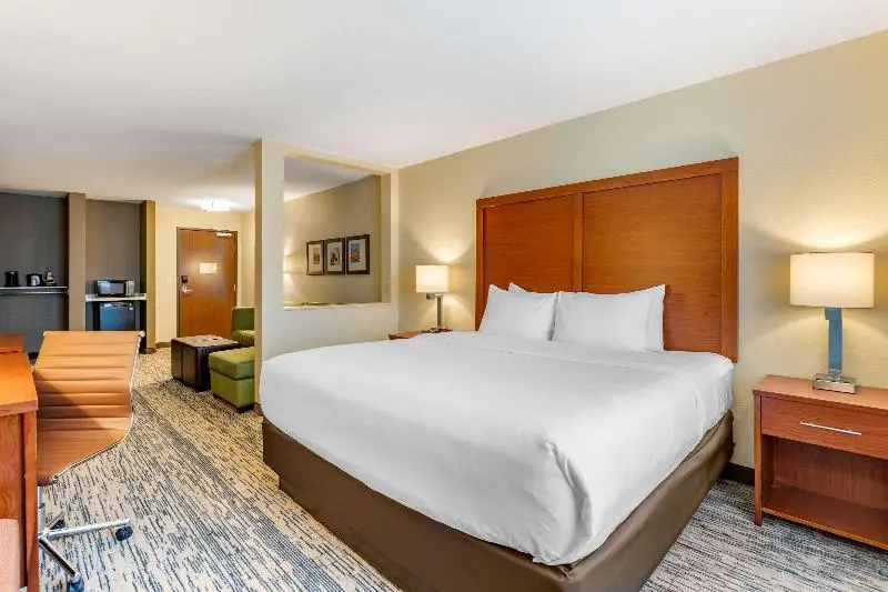 キングサイズベッドのスイートルーム, Comfort Inn & Suites West Des Moines