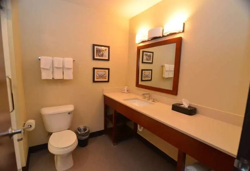 スイート, Comfort Inn & Suites West Des Moines