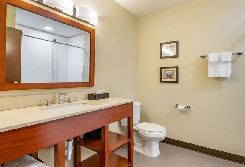スイート, Comfort Inn & Suites West Des Moines