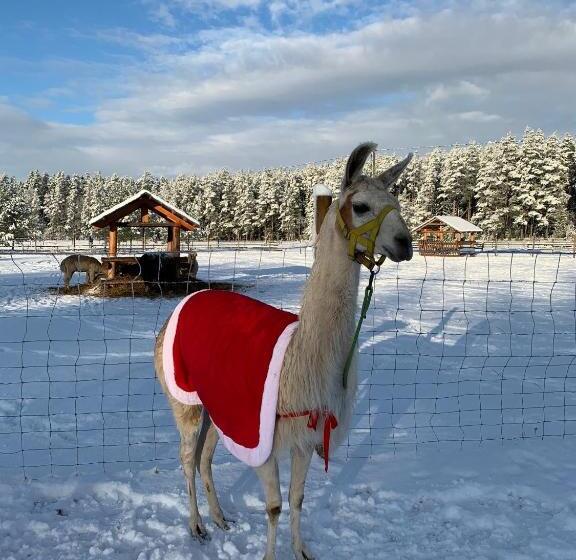 آپارتمان 1 خوابه, Rakši