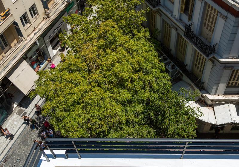 스위트, Athenian Foss