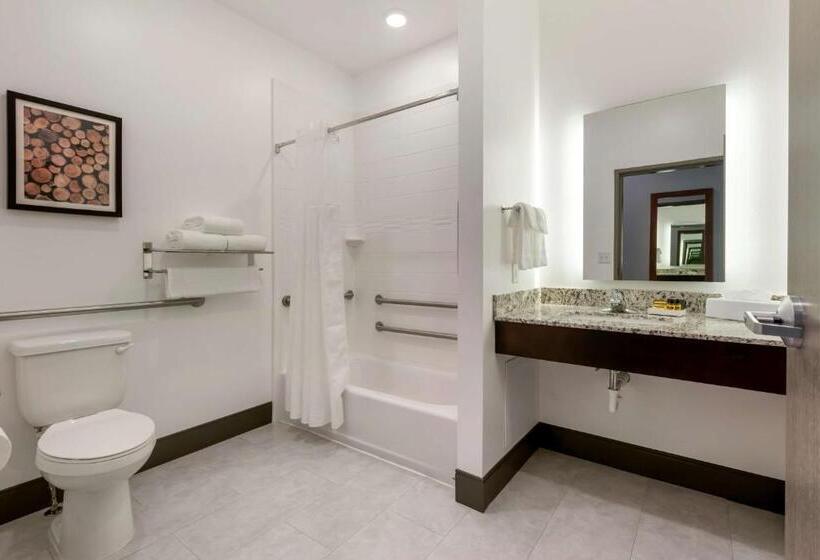 适合残疾人士使用的带超级大床的标准间, Best Western Plus Isanti