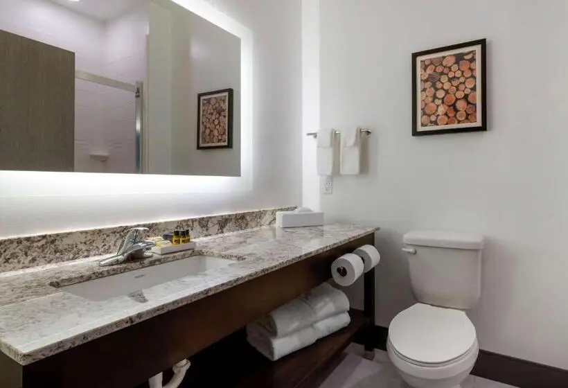 Sviitti King-vuode, Best Western Plus Isanti