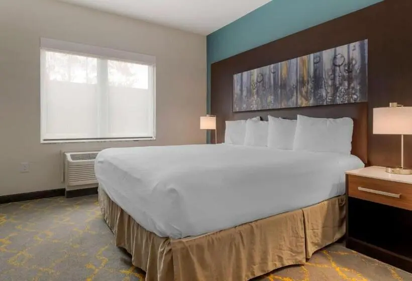 Sviitti King-vuode, Best Western Plus Isanti