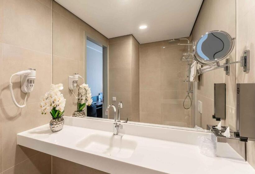 컴포트 룸, Plaza Premium Den Haag City Center