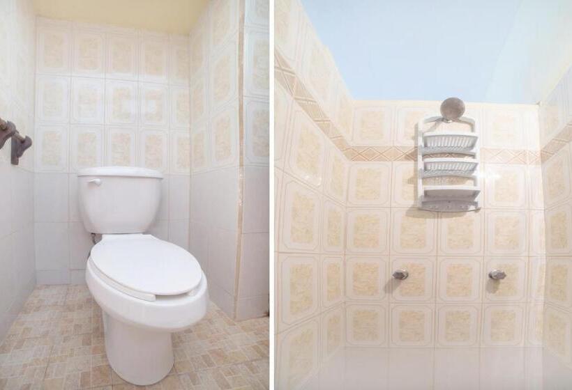 标准三人间, Ex Hacienda El Molino