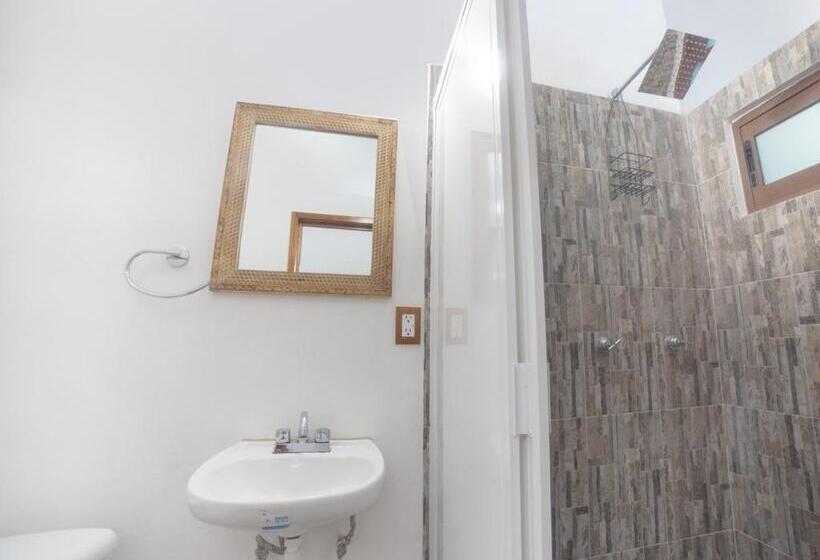 标准间, Ex Hacienda El Molino