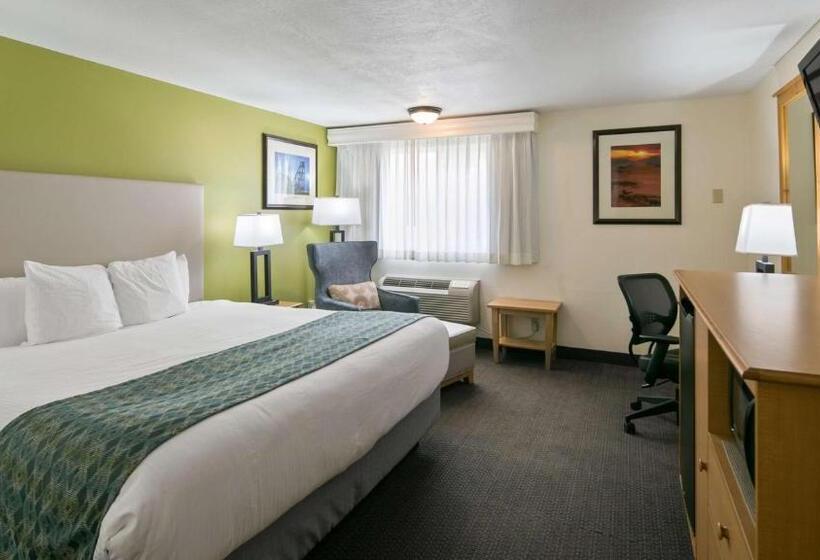 חדר דחוקס עם מיטת קינג, Best Western Hidesert Inn
