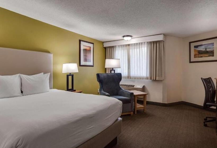 חדר סטנדרט מותאם לאדם עם מוגבלויות, Best Western Hidesert Inn