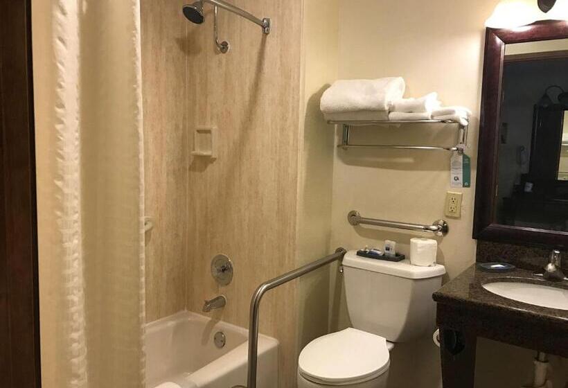Номер Стандарт Адаптированный для Инвалидов, Best Western Hidesert Inn