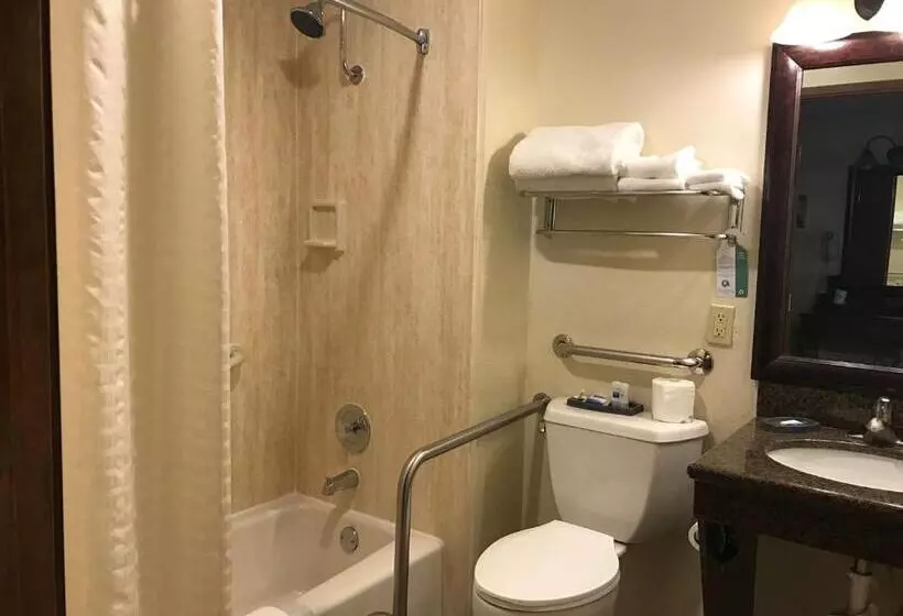 Standard-invahuone, Best Western Hidesert Inn