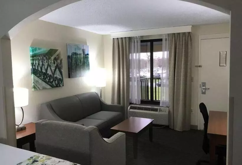 キングサイズベッドのスタンダードルーム, Best Western Inn & Suites Monroe