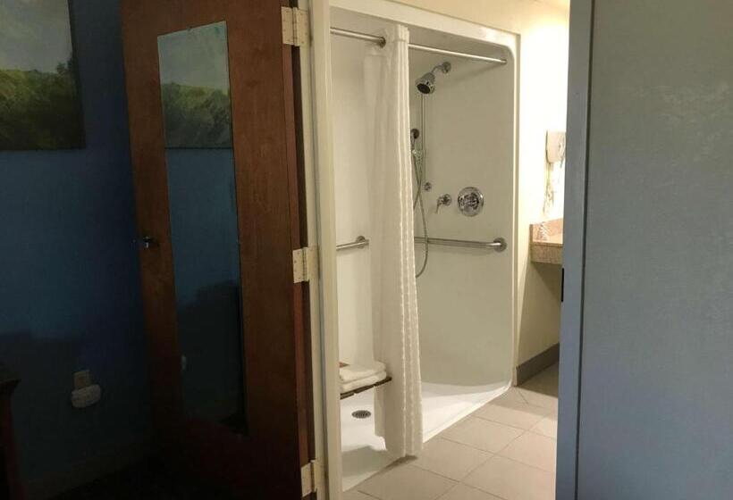 장애인을 위한 킹사이즈 침대 스탠다드 룸, Best Western Inn & Suites Monroe