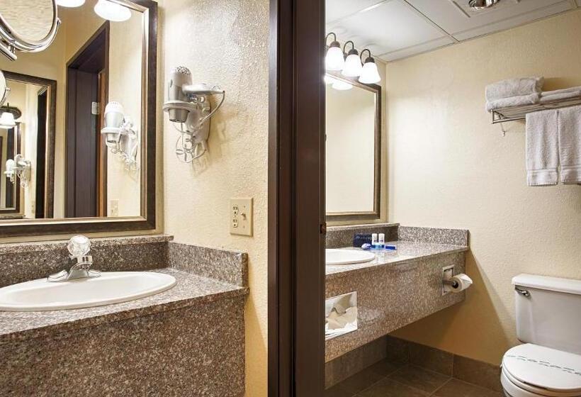 غرفة قياسية سرير كينج, Best Western Music Capital Inn