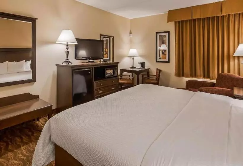 اتاق استاندارد با تخت بزرگ, Best Western Music Capital Inn