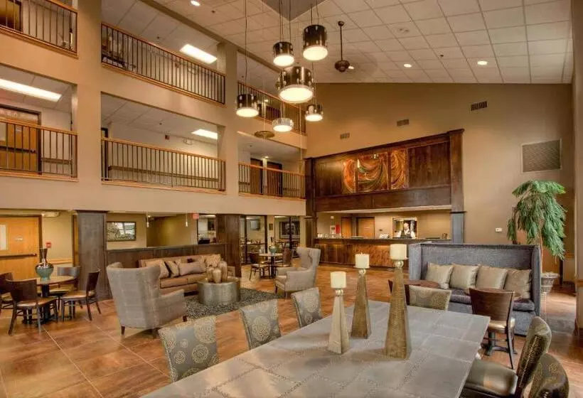 سوئیت با تخت بزرگ, Best Western Music Capital Inn