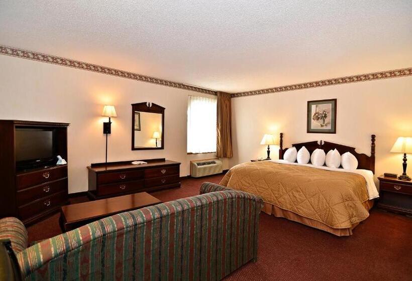 جناح سرير كينج, Best Western Music Capital Inn