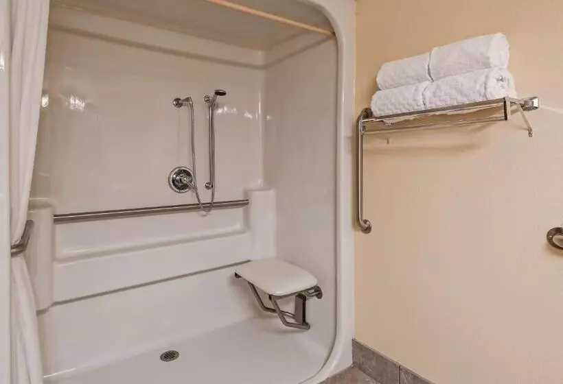 اتاق استاندارد با تخت بزرگ برای معلولان, Best Western Music Capital Inn