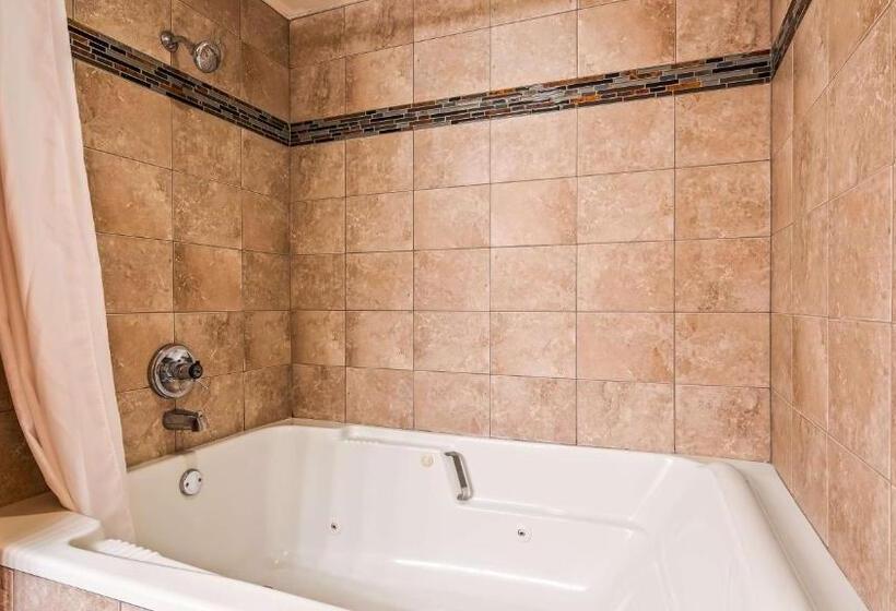 جناح سرير كينج, Best Western Music Capital Inn