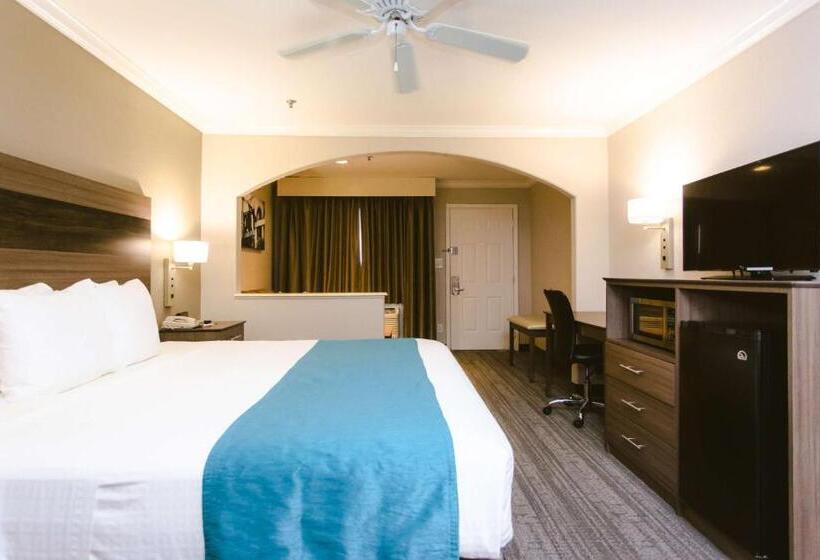 キングサイズベッドのデラックスルーム, Best Western Pearland Inn