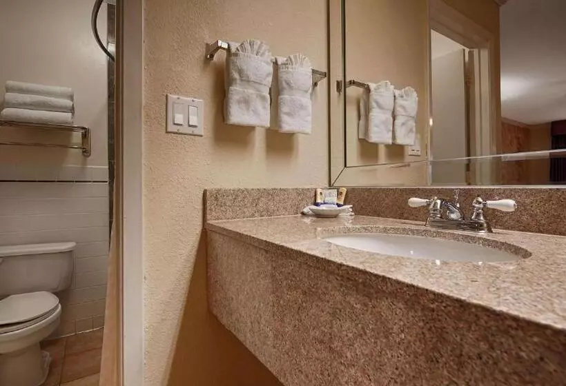 キングサイズベッドのデラックスルーム, Best Western Pearland Inn