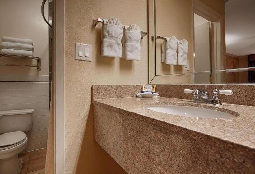 キングサイズベッドのスタンダードルーム, Best Western Pearland Inn