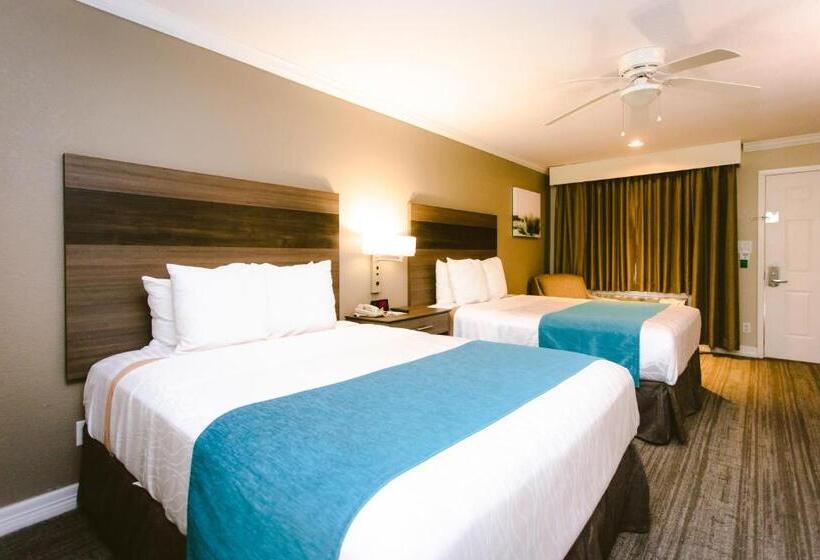 Номер Стандарт, Best Western Pearland Inn