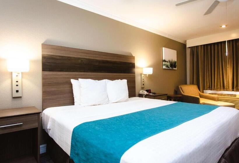 身障者適用キングサイズベッドルーム, Best Western Pearland Inn