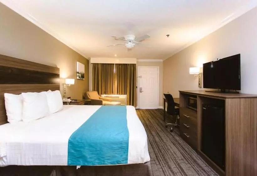 身障者適用キングサイズベッドルーム, Best Western Pearland Inn