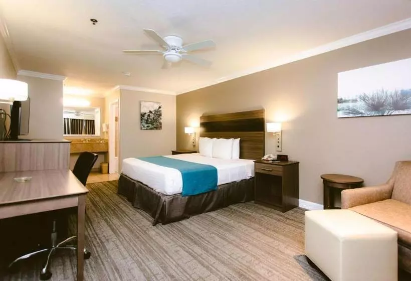 身障者適用キングサイズベッドルーム, Best Western Pearland Inn