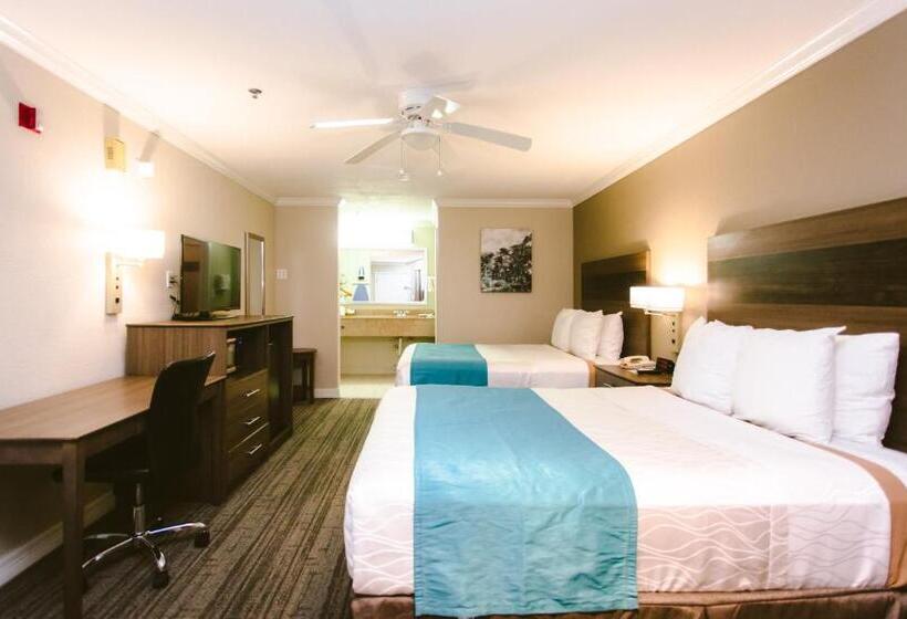 身障者適用クイーンサイズベッドルーム, Best Western Pearland Inn
