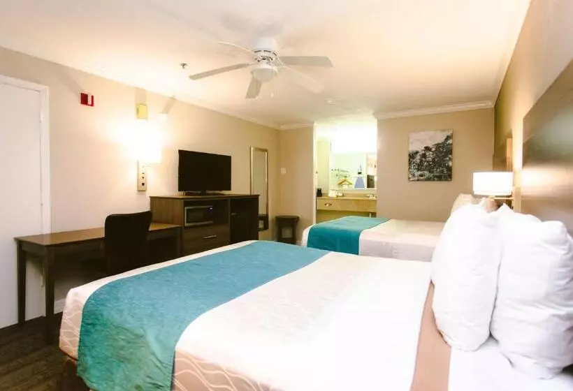 身障者適用クイーンサイズベッドルーム, Best Western Pearland Inn