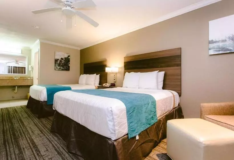 身障者適用クイーンサイズベッドルーム, Best Western Pearland Inn