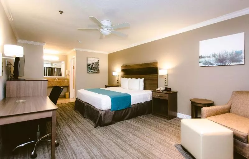 キングサイズベッドのスタンダードルーム, Best Western Pearland Inn