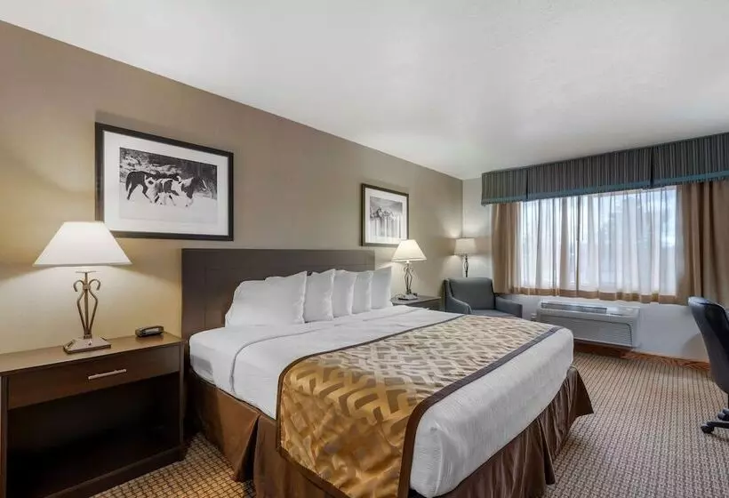 スタンダードルーム, Best Western Pinedale Inn
