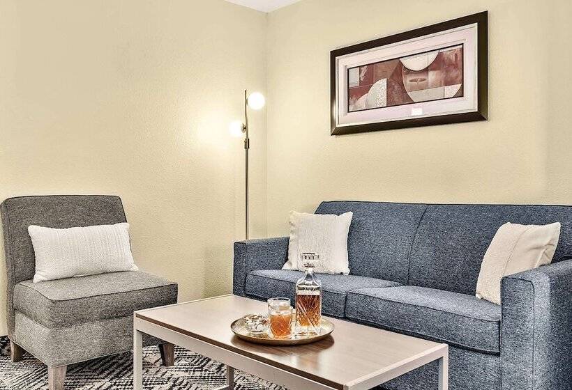 套房, Best Western Plus Lewisville Flower Mound