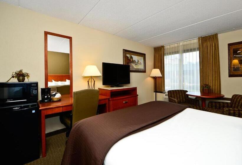Стандартный Номер Кровать Кинг, Ramada By Wyndham Plymouth Hotel & Conference Center