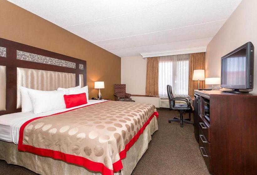 غرفة قياسية سرير كينج, Ramada By Wyndham Plymouth Hotel & Conference Center
